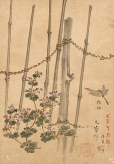 Bamboo Fence and Chrysanthemums, c. 1890. Creator: Kono Bairei (Japanese, 1844-1895).