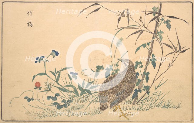 Zhu ji, 1789. Creator: Kitao Masayoshi.