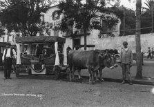 Bullock carriage, Madeira, Portugal, c1920s-c1930s(?). Artist: Unknown