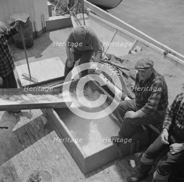 Icing the hold of a ship at the Fulton fish market, New York, 1943. Creator: Gordon Parks.