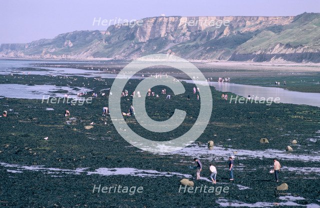 Beachcombers at Port-en-Bessin, Normandy, France.