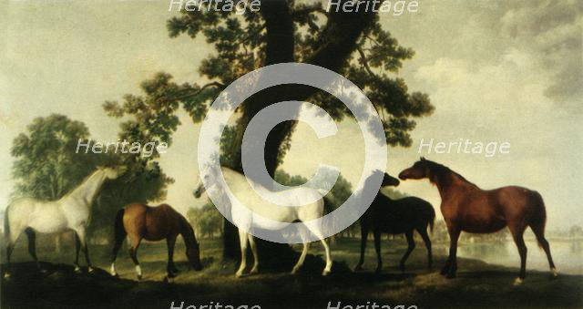 'Five Brood Mares at the Duke of Cumberland's Stud Farm in Windsor Great Park', 1765, (1944).  Creator: George Stubbs.