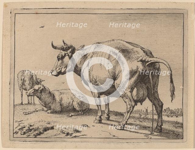 Pissing Cow, 1650. Creator: Paulus Potter.