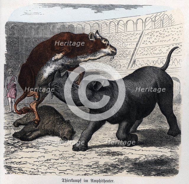 Show of fighting beasts in the Roman circus, engraving 1868.