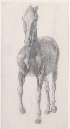 Finished study for 'The Sixth Anatomical Table of the Muscles ... of the Horse', 1756. Creator: George Stubbs.