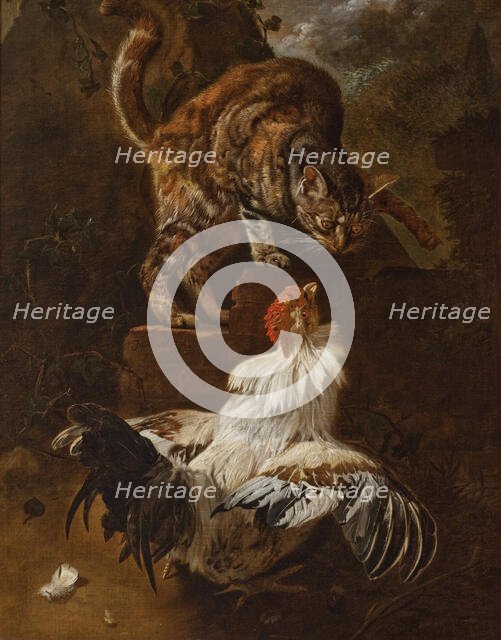 Fight of a Cock and a Cat, 1674. Creator: Jacomo Victors.
