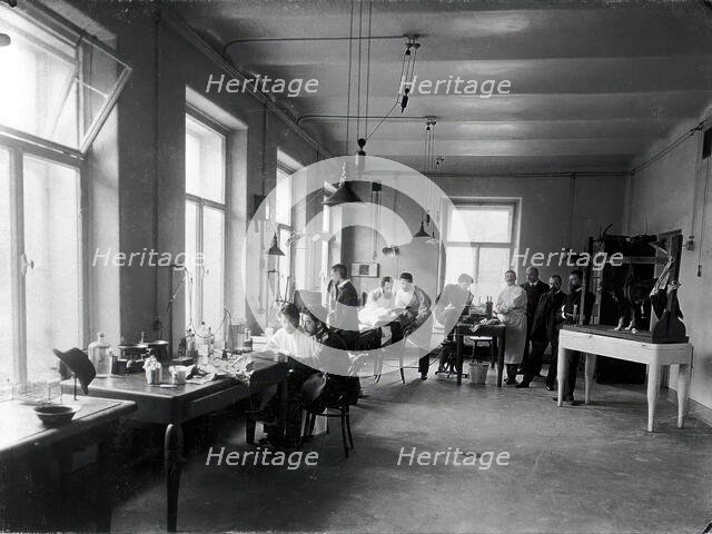 Ten members of staff studying and performing experiments on dogs in the Physiology..., 1904. Creator: Unknown.