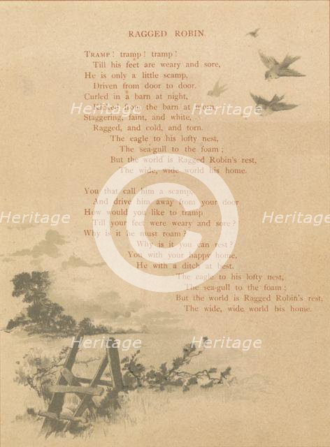 'Ragged Robin', late 19th-early 20th century? Creator: Unknown.