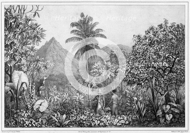 View of Kosrae Island, Caroline Islands, 19th century. Creators: Friedrich Heinrich Kittlitz, Godefroy Engelmann, Jules David.