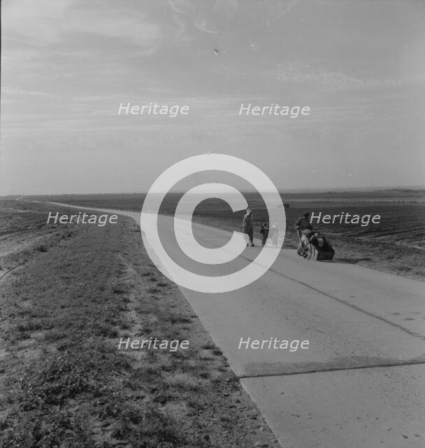 Flood refugee family near Memphis, Texas, 1937. Creator: Dorothea Lange.
