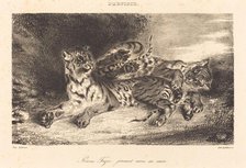 Young Tiger Playing with its Mother (Jeune tigre jouant avec sa mère), 1831. Creator: Eugene Delacroix.