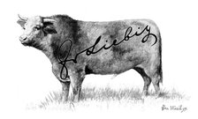 Branding Cattle, 1898. Creator: Unknown.