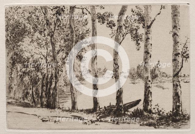 Aspens on the Bank of the Seine. Creator: Félix Bracquemond (French, 1833-1914).