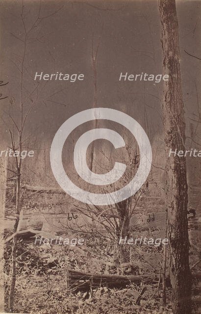 The Wilderness Battlefield, 1864. Creator: Unknown.