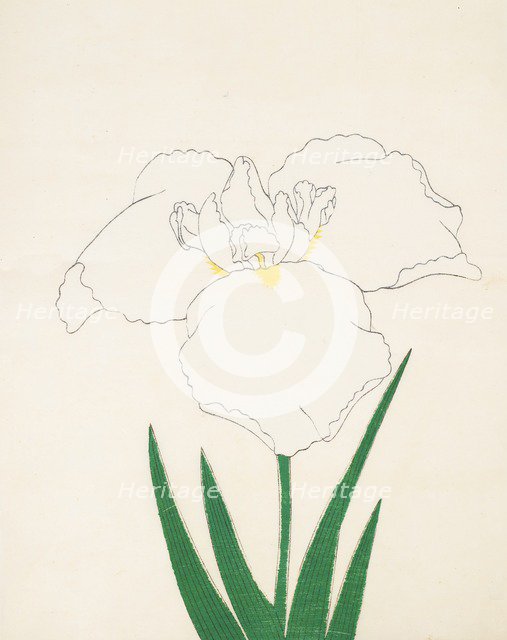 Hatsu-Shimo, No. 6, 1890, (colour woodblock print)