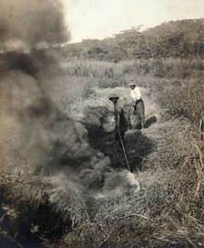 Miraflores, the Panama Canal Zone: rising smoke as two West Indian men burn grass away..., 1910. Creator: Unknown.