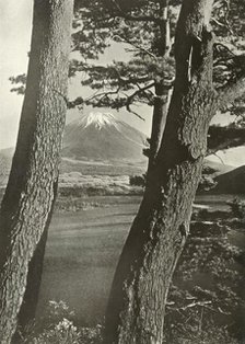 'Fuji Through the Pines of Lake Motosu', 1910. Creator: Herbert Ponting.