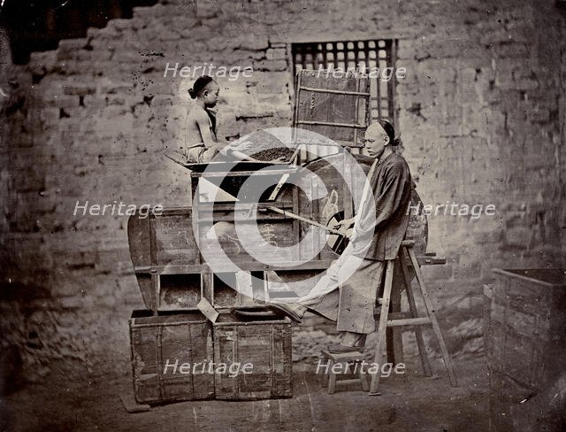 Tea sorting, end of 19th century. Creator: Nikolai Apollonovich Charushin.