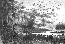 ''Lake scenery in Central Africa; The regions of the Cazembe', 1875. Creator: Unknown.