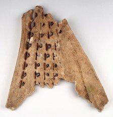 Chinese oracle bone, 16th-10th century BC.  Creator: Unknown.