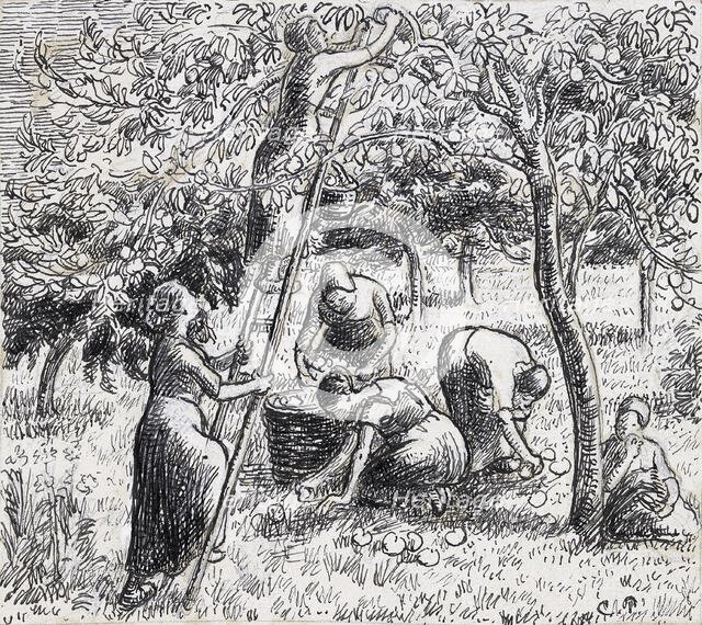 Compositional study of female peasants harvesting apples, 1845 - 1903. Creator: Camille Pissarro.