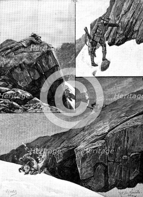 After Rocky Mountain Sheep, 1890. Creator: H. F. Davey.