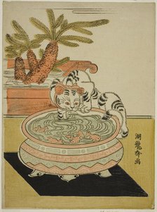 Cat Pawing at Goldfish, c. early 1770s. Creator: Isoda Koryusai.