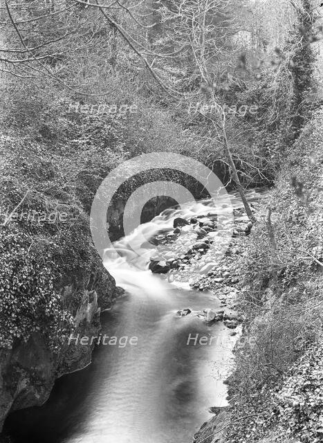 Creek/river unknown location, c1900s. Creator: Robert Augustus Henry L'Estrange.