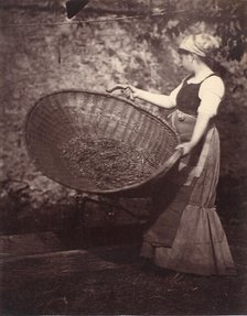 [Peasant Woman with Winnowing Basket], late 1870s. Creator: Unknown.