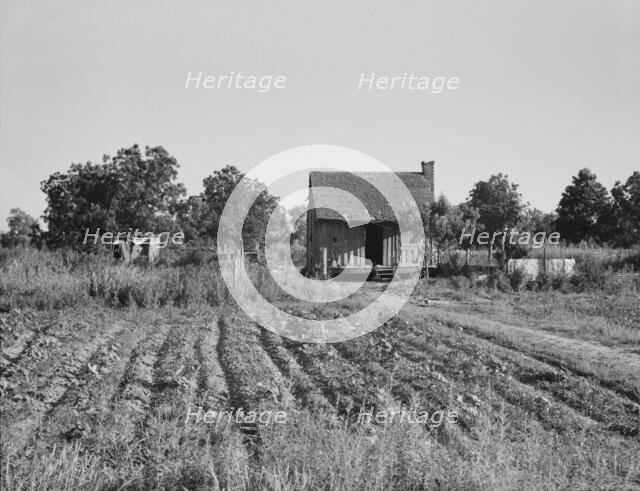 Home of Mississippi tenant farmer, 1937. Creator: Dorothea Lange.