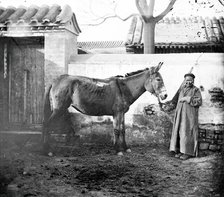 China: an old Mongol woman with her horse, Beijing, 1871. Creator: John Thomson.