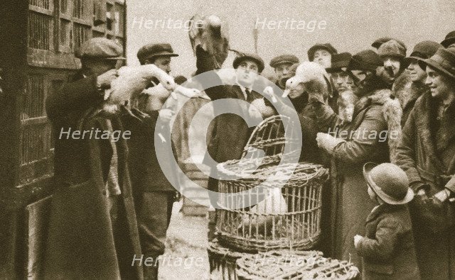 Buying live poultry at a 'Pedlars' Market' at the Caledonian Market, London, 20th century. Artist: Unknown