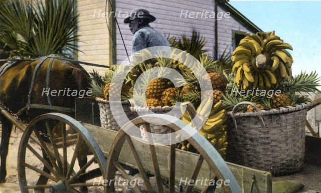 A fruit trader, Taboga Island, Panama, early 20th century. Artist: Unknown