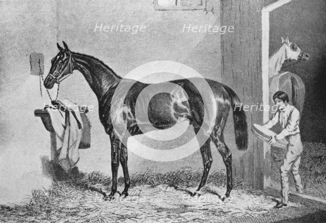 'Joe Miller', 19th century, (1911). Artist: Unknown.