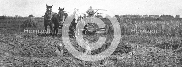 'Contrastes sur le front de la Somme; La moisson derriere le champ de bataille', 1916 Creator: Unknown.