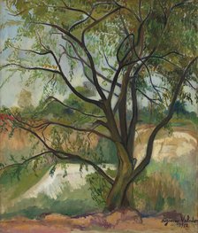 The Tree, 1912. Creator: Valadon, Suzanne (1865-1938).