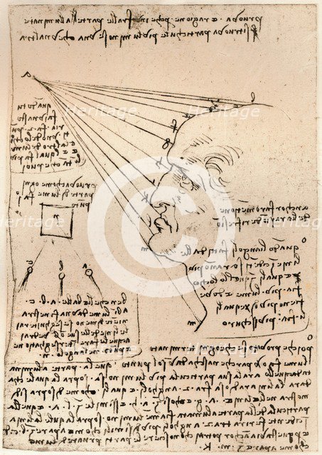 Drawing of a male head, illustrating the practice of painting, c1472-c1519 (1883). Artist: Leonardo da Vinci.