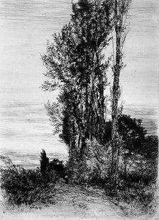 Poplars, c1898. Creator: Peter von Halm.
