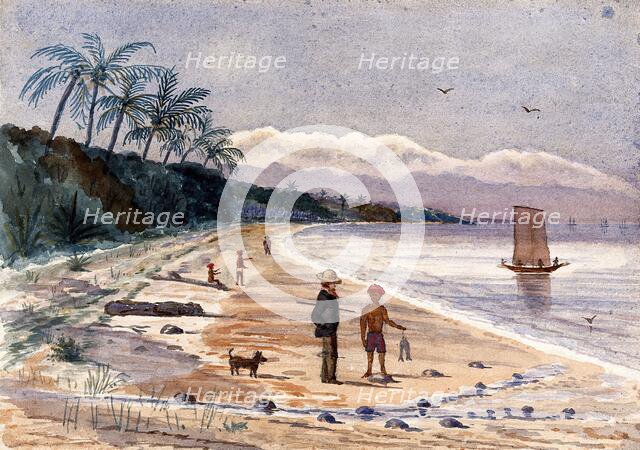 Singapore: view along the beach by Singlap, 1879. Creator: John Edmund Taylor.
