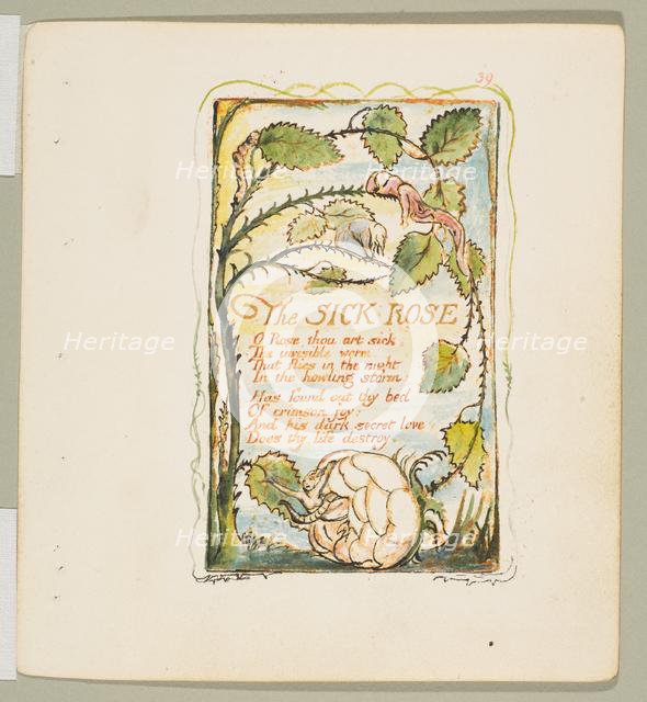 Songs of Innocence and of Experience: The Sick Rose, ca. 1825. Creator: William Blake.