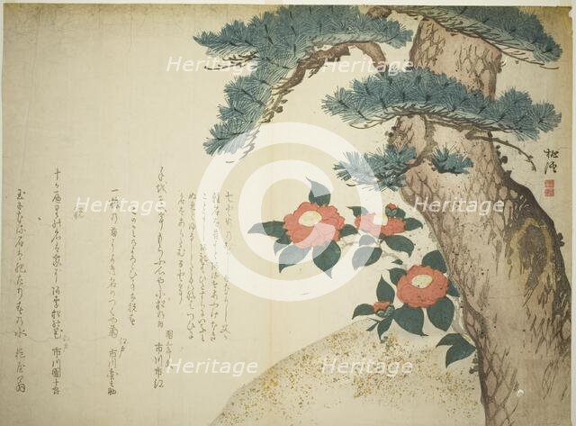 A Pine Tree and Camellias, c. 1815. Creator: Niwa Tokei.