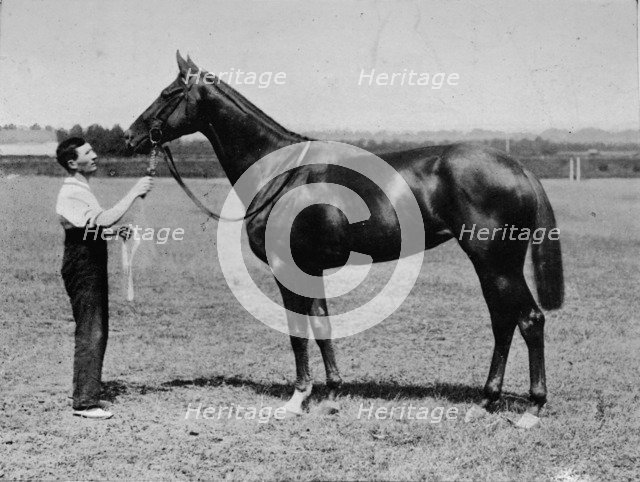'Pretty Polly', 1901-1931, (1911). Artist: Unknown.