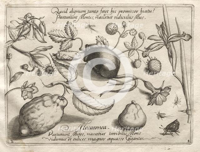 Archetypes and Studies: What can emerge in keeping with such a cavernous promise?, 1592. Creator: Joris Hoefnagel (Flemish, 1542-1601).