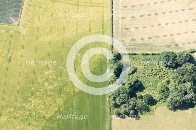 Cropmarks of Iron Age burial sites on the Yorkshire Wolds, East Riding of Yorkshire, 2018. Creator: Historic England Staff Photographer.