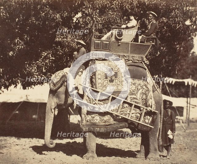 Lady Canning, 1858-61. Creator: Unknown.