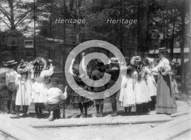 Group of public school children offering peanuts to animals in the Nation..., Washington DC, (1899?) Creator: Frances Benjamin Johnston.