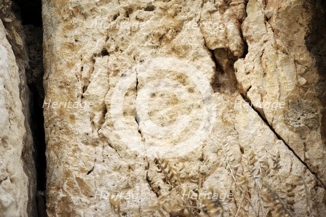 Detail of Western Wall, Jerusalem, Israel, 2013. Creator: LTL.
