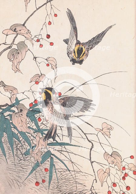 The Four Seasons Bird and Flower Albums (Keinen Kacho Gafu), 1891-1892. Creator: Keinen, Imao (1845-1924).