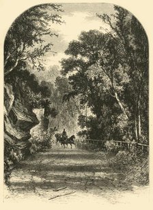 'Drive along the Wissahickon', 1874. Creator: James H. Richardson.