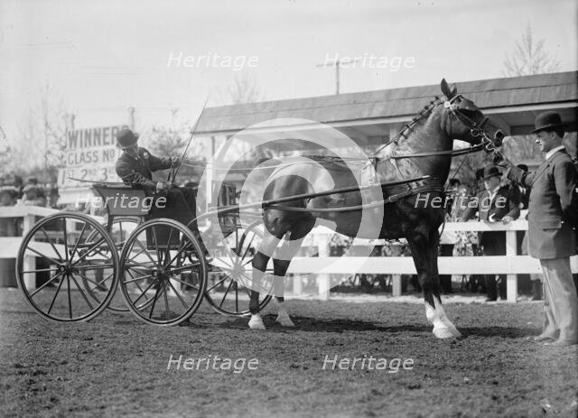 Horse Shows - Unidentified Men, Driving, 1911. Creator: Harris & Ewing.